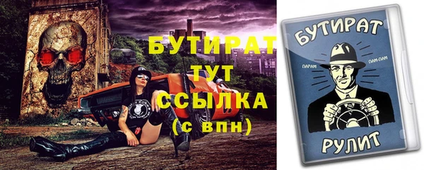 ПСИЛОЦИБИНОВЫЕ ГРИБЫ Новозыбков