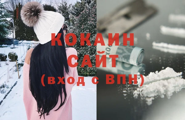 ПСИЛОЦИБИНОВЫЕ ГРИБЫ Новозыбков