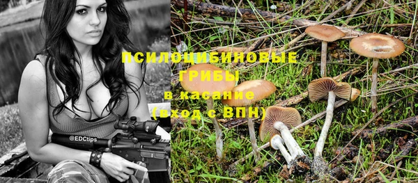apvp Новодвинск