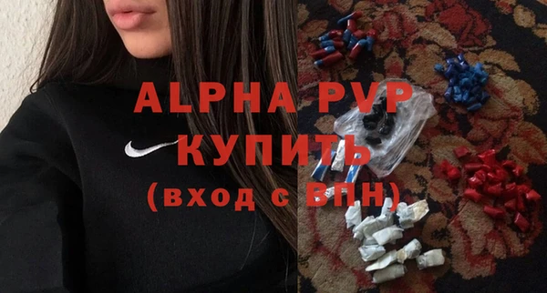 ПСИЛОЦИБИНОВЫЕ ГРИБЫ Новозыбков
