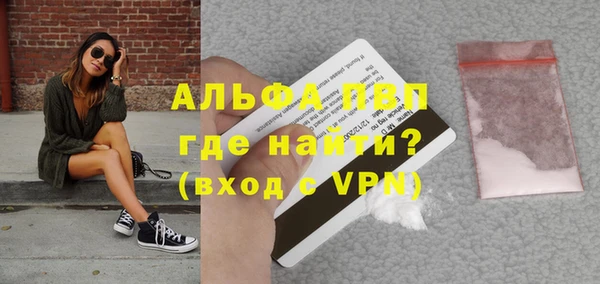 ПСИЛОЦИБИНОВЫЕ ГРИБЫ Новозыбков