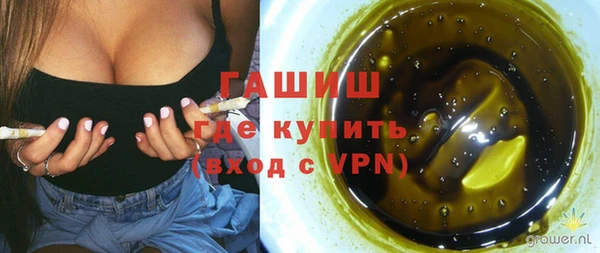 ПСИЛОЦИБИНОВЫЕ ГРИБЫ Новозыбков
